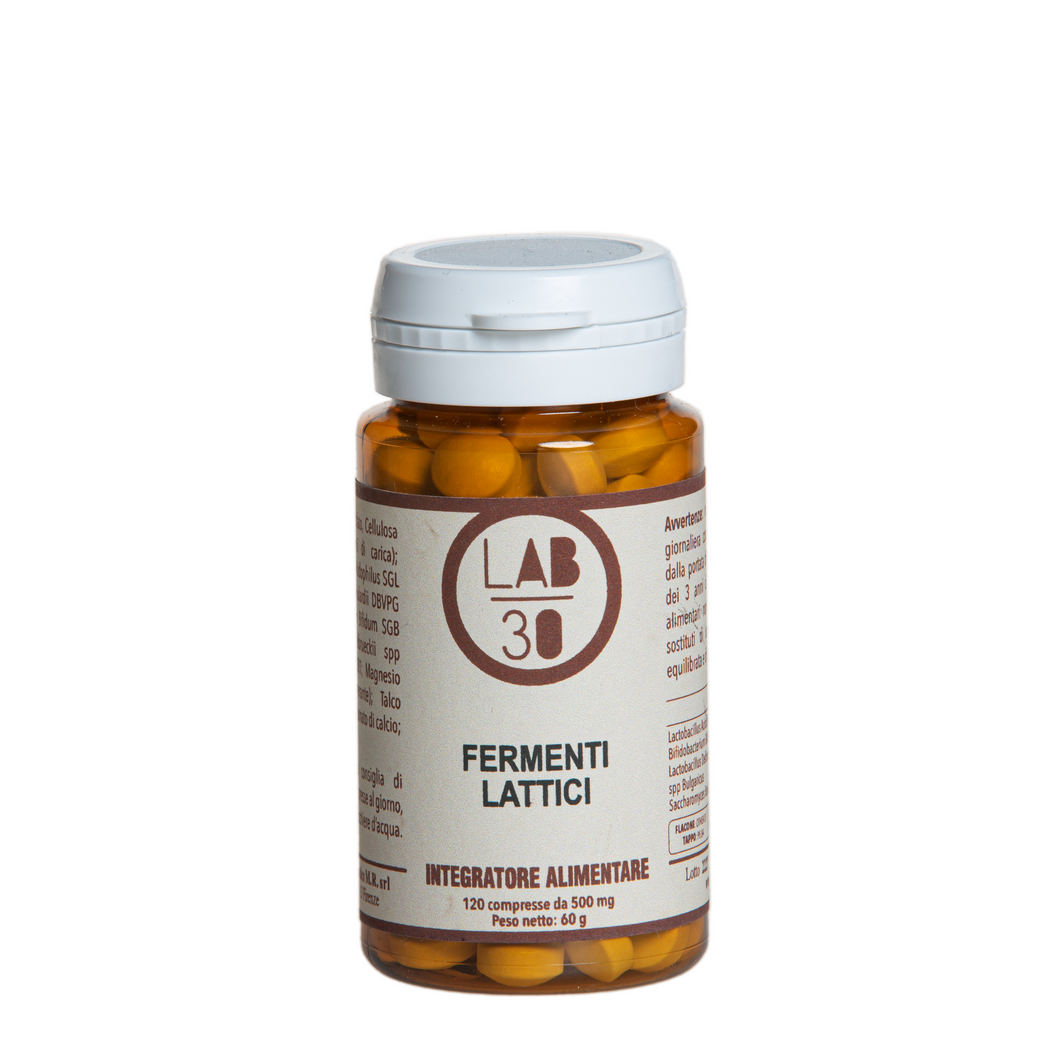 FERMENTI LATTICI